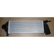 Intercooler, échangeur OE 8200382109 - Visuel 2