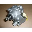 Pompe hydraulique, direction OE 491106387R - Visuel 2