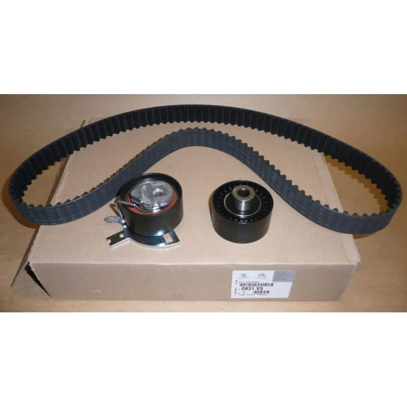Kit de distribution OE 0831V5