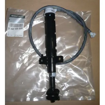 Gicleur d'eau de nettoyage, nettoyage des phares avant droit OE 286410958R