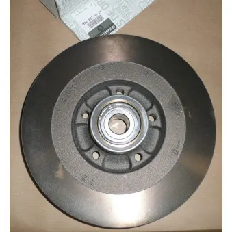 Jeu de 2 disques de frein arrière OE 432022434R
