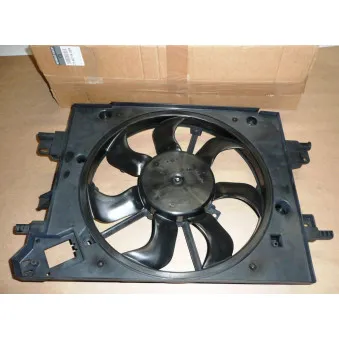 Ventilateur, refroidissement du moteur OE 214811626R
