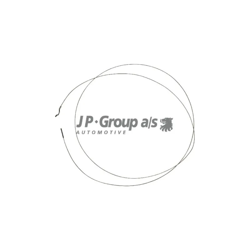Câble d'accélération JP GROUP 8170100106