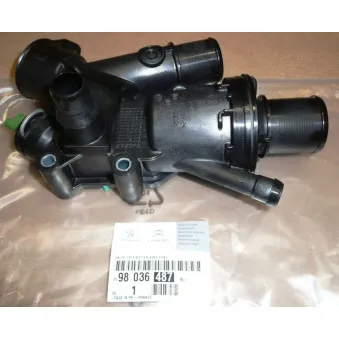 Thermostat d'eau OE 9803648780