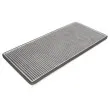 Filtre, air de l'habitacle PURRO PUR-PC3003C - Visuel 2