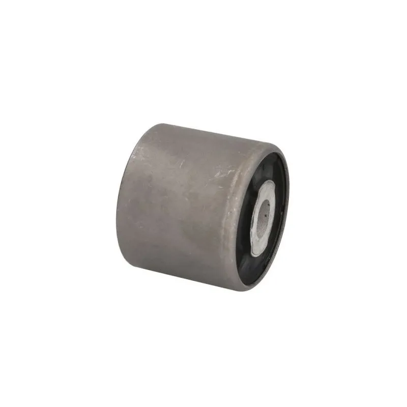 Suspension, corps de l'essieu REINHOCH RH20-3008