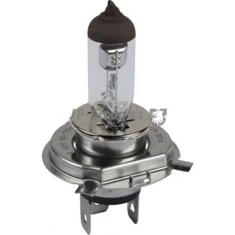 Ampoule, projecteur principal JP GROUP 8195901102