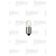 Ampoule, feu clignotant VALEO 032223 - Visuel 1