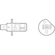 Ampoule, projecteur longue portée VALEO 032507 - Visuel 1