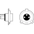 Ampoule, projecteur longue portée VALEO 032513 - Visuel 1