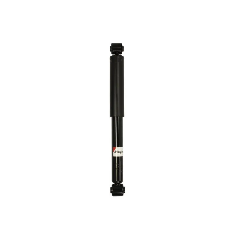 jeu de 2 amortisseurs arrière MAGNUM TECHNOLOGY AGC053MT