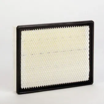 Filtre à air DONALDSON P548963