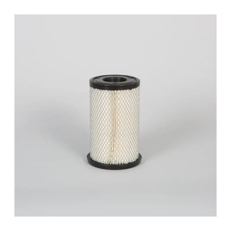 Filtre à air DONALDSON P505998