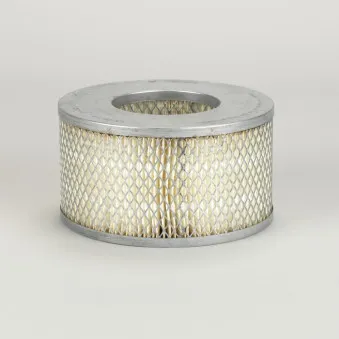 Filtre à air DONALDSON P901934