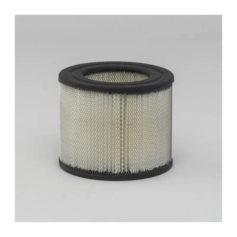Filtre à air DONALDSON P528221