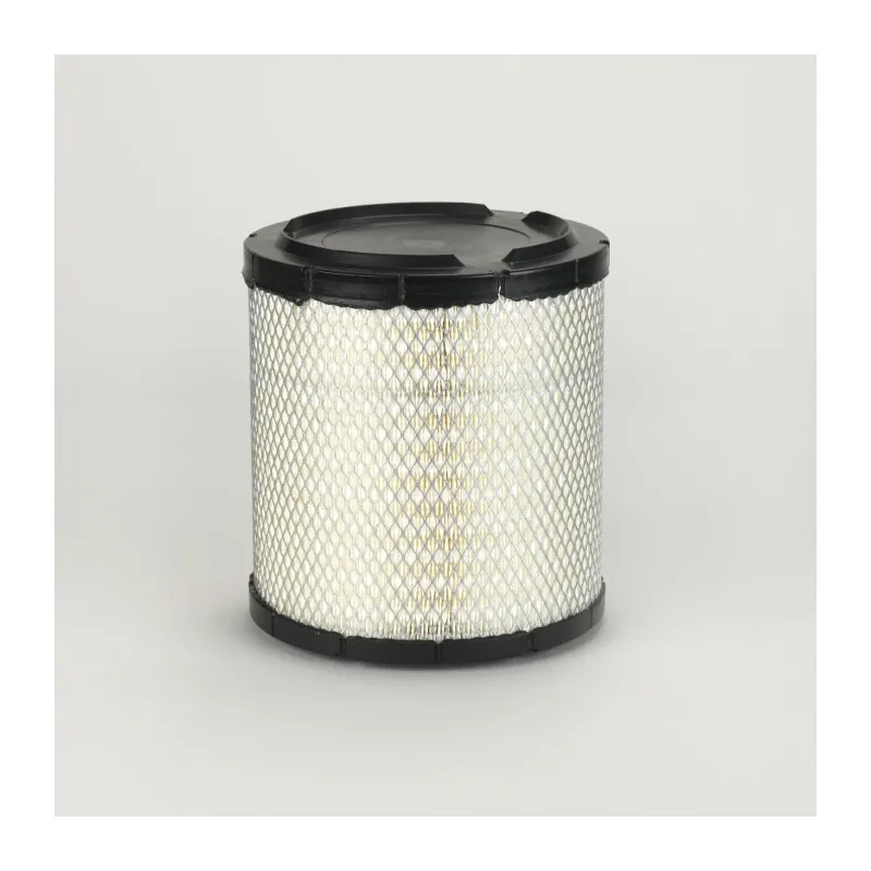 Filtre à air DONALDSON P849069