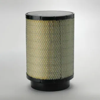 Filtre à air DONALDSON B085056