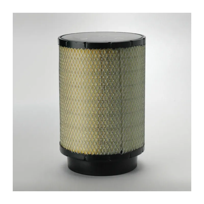 Filtre à air DONALDSON B085056