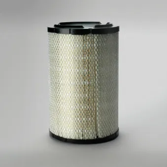 Filtre à air DONALDSON P821938