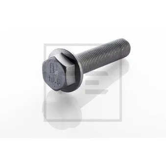 Vis, disque de frein PE Automotive 010.169-00A