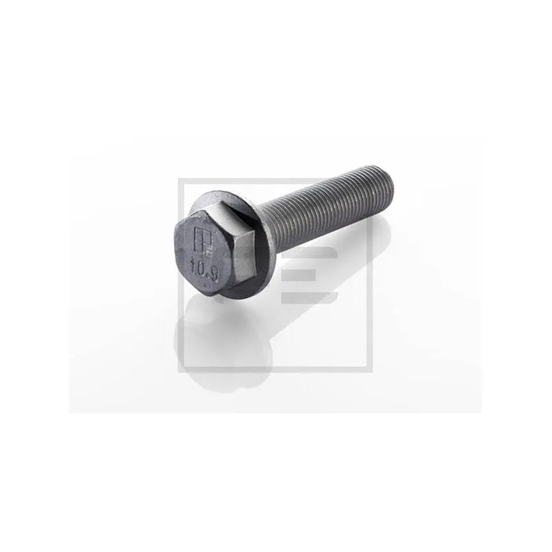 Vis, disque de frein PE Automotive 010.169-00A