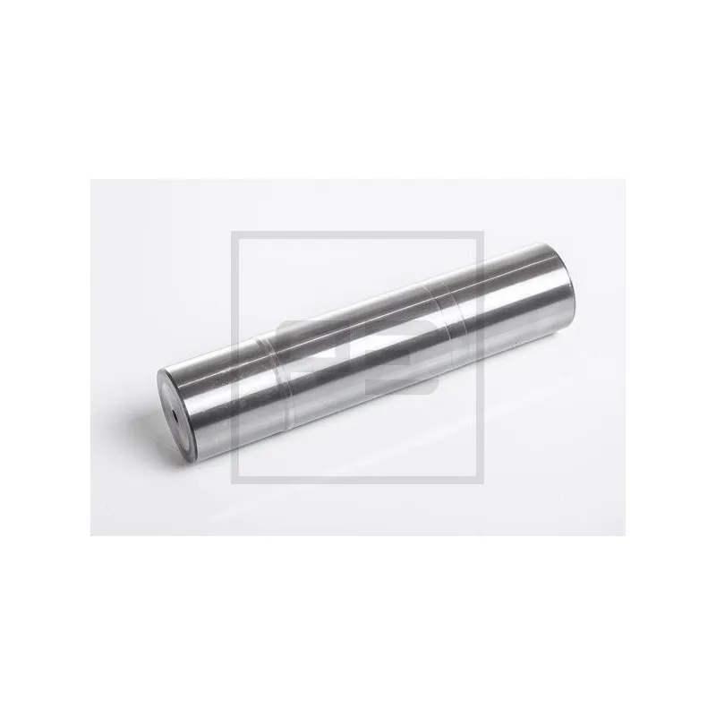 Pivot de fusée d'essieu PE Automotive 011.346-00A