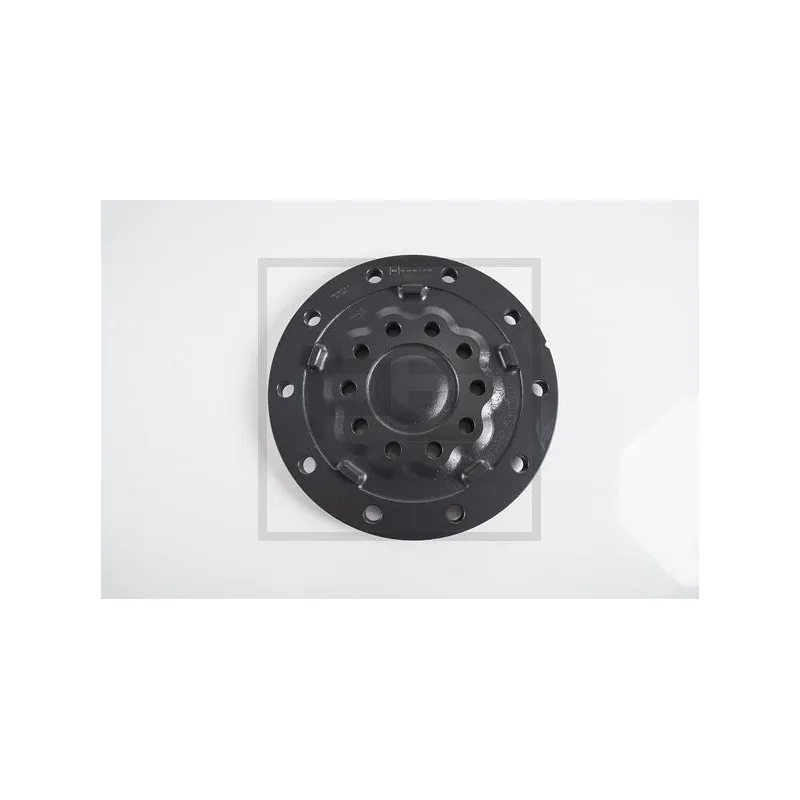 Flasque, différentiel PE Automotive 016.411-00A