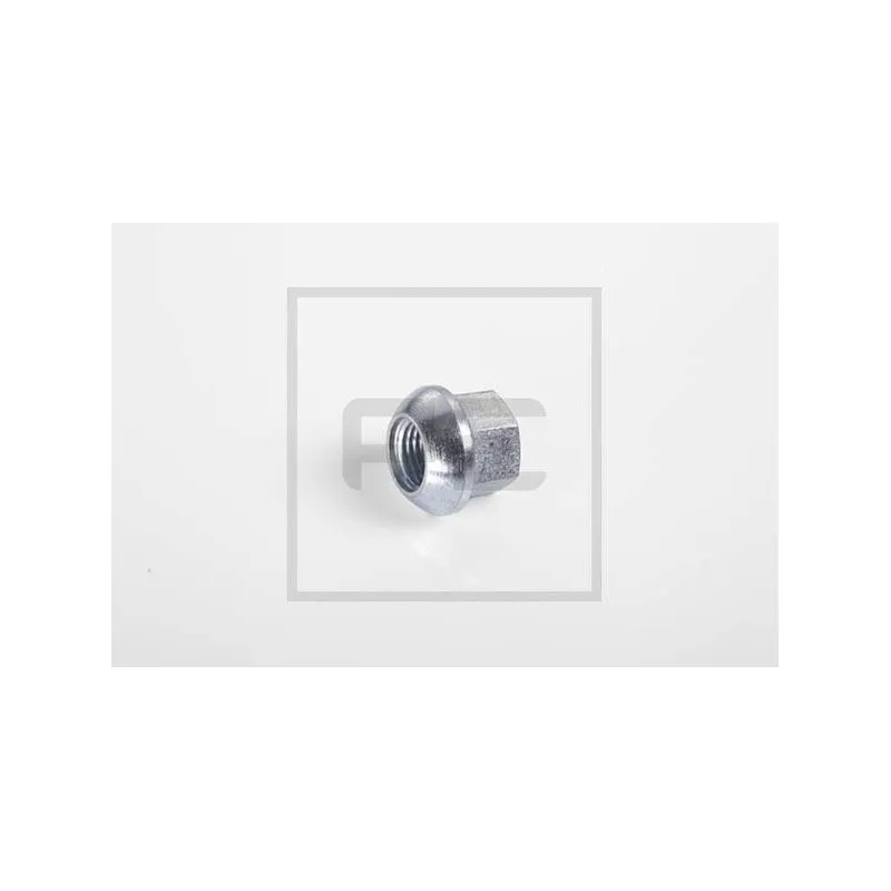 Écrou de roue PE Automotive 077.000-00A