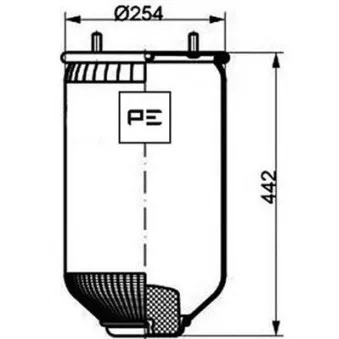 Ressort pneumatique, suspension pneumatique PE Automotive 084.100-71A