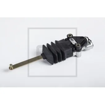 Régulateur, correcteur d'assiette PE Automotive 084.631-00A