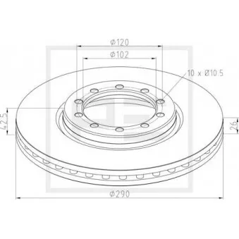 Jeu de 2 disques de frein avant PE Automotive 256.041-00A
