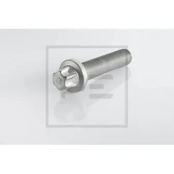 Vis, disque de frein PE Automotive 326.001-00A