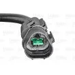Capteur d'angle, vilebrequin VALEO 254014 - Visuel 3