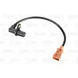 Capteur d'angle, vilebrequin VALEO 254053 - Visuel 2