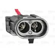 Capteur d'angle, vilebrequin VALEO 254134 - Visuel 3