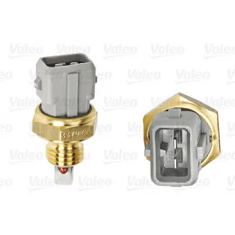 Capteur, température de l'air d'admission VALEO 255603