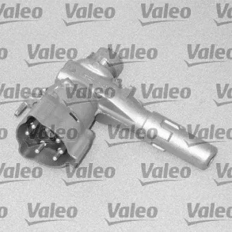 Boîtier de cylindre de serrure VALEO 256491