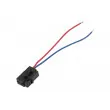 Serrure de porte avant droit TEKNÖR EZC-VW-261 - Visuel 1