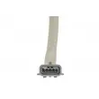 Sonde lambda TEKNÖR ESL-NS-024 - Visuel 3