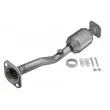 Catalyseur TEKNÖR KAT-NS-001 - Visuel 1