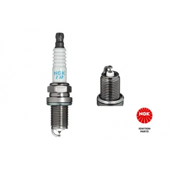 Bougie d'allumage NGK 2895