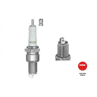 Bougie d'allumage NGK 7528