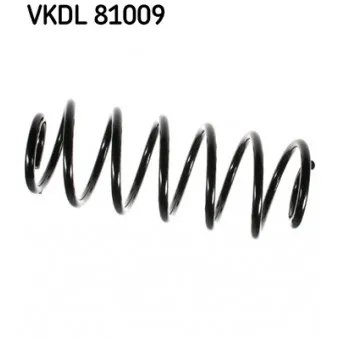 Ressort de suspension SKF VKDL 81009