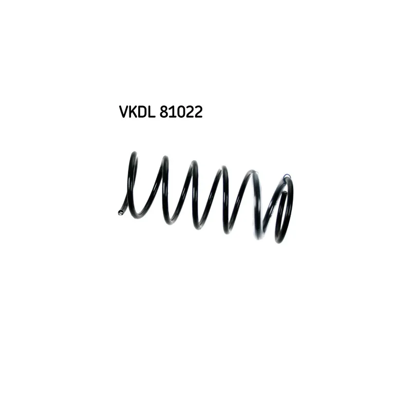 Ressort de suspension SKF VKDL 81022
