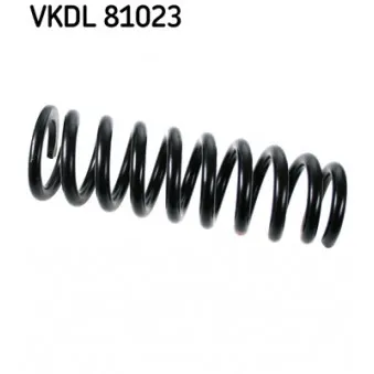 Ressort de suspension SKF VKDL 81023