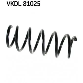 Ressort de suspension SKF VKDL 81025