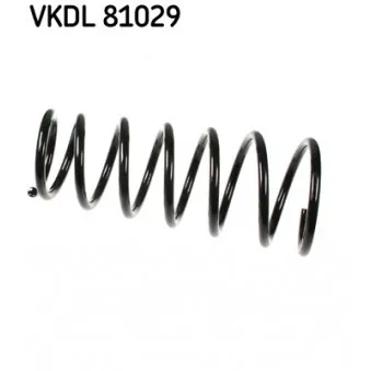 Ressort de suspension SKF VKDL 81029