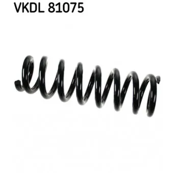 Ressort de suspension SKF
