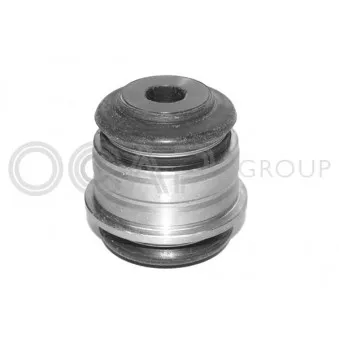 Rotule de suspension OCAP