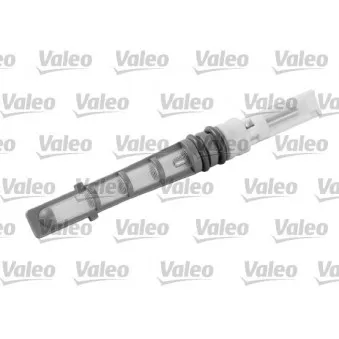 Gicleur, détendeur VALEO 509291
